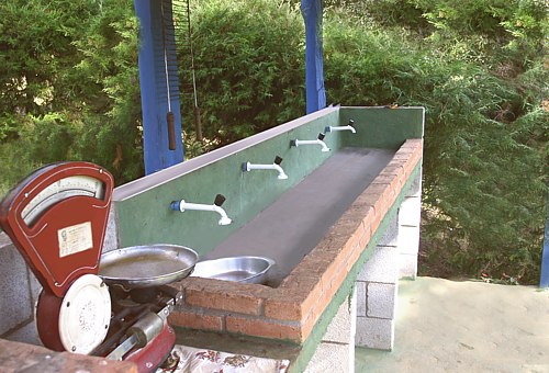 Camping Monte Verde-SP – Recanto dos Bambus