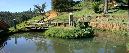 Camping Monte Verde-SP – Recanto dos Bambus