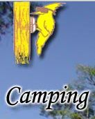 Camping Rancho Pica Pau