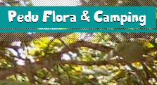 Camping Espaço Flora (Pedú)