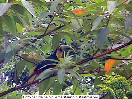 Camping Porongaba-São Sebastião-SP