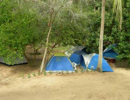 Camping das Mangueiras-Tibau do Sul-RN