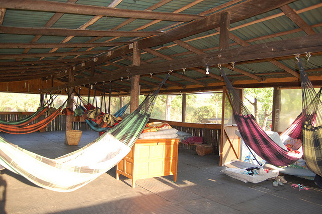 capivara – Foto de Pousada e Camping Santa Clara, Corumbá