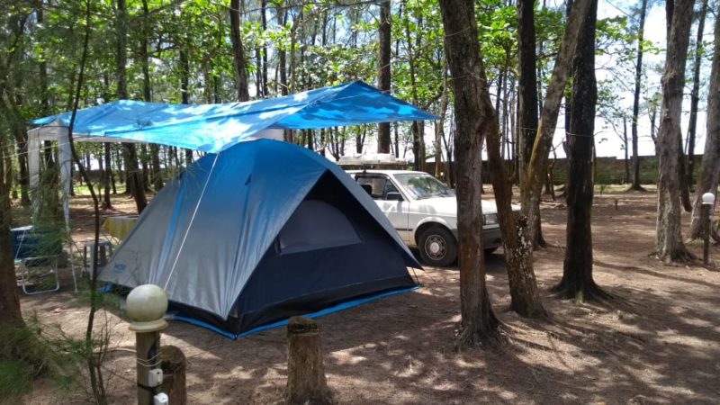 Camping riviera-Ilha Comprida-SP-2-Foto Eli Bueno-2
