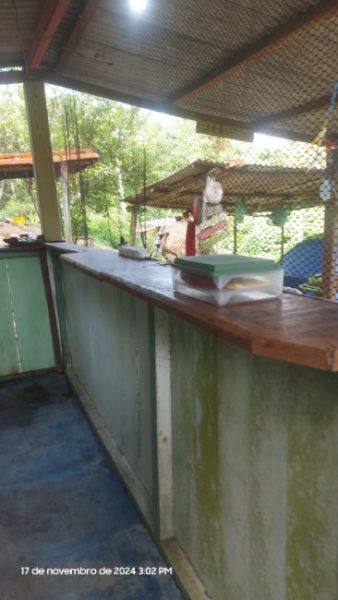 Camping do Luciano (Pico do Sol)
