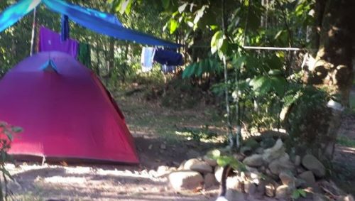 camping tio fabio-cambury-ubatuba-sp-8