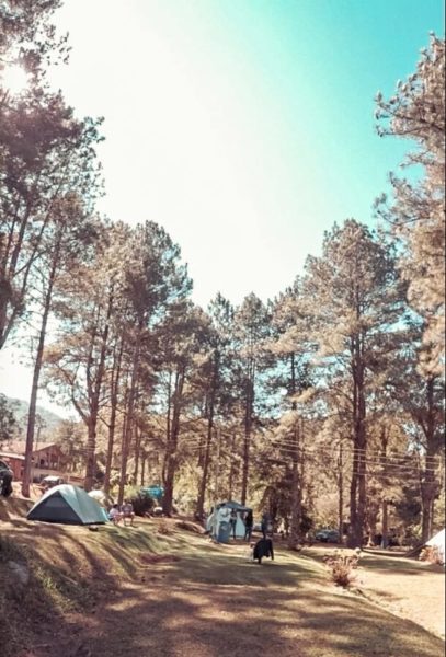 Camping Barragens-Visconde de Mauá-RJ-Foto @estradasporai 5