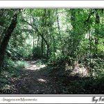 Camping Cachoeira Pombinha 2