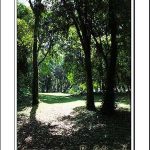 Camping Cachoeira Pombinha 3