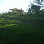 IMG-20170724-WA0026