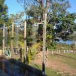 IMG-20170724-WA0029
