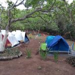 PB-Areia-Camping_JD_Rural_Encantado_hotel_barraca-10