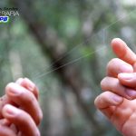 PB-Areia-Camping_JD_Rural_Encantado_hotel_barraca-13