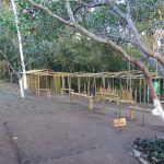 PB-Areia-Camping_JD_Rural_Encantado_hotel_barraca-6