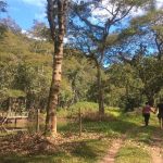 RJ-Teresopolis-Camping_pessegueiros-macamp-1