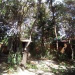 camping-goiabeira-cavalcante-macamp-3