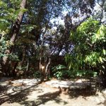 camping-goiabeira-cavalcante-macamp-4