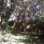 camping-goiabeira-cavalcante-macamp-5