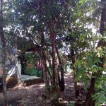 camping-goiabeira-cavalcante-macamp-6