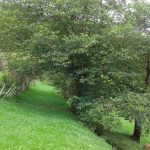 camping-sao-bento-sao-bento-do-sapucai-SP-8