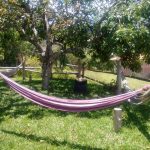 Camping BM Adventure Parque Vale das Pedras-3