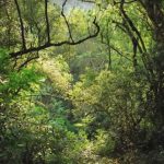 RS-cotipora-camping-municipal-macamp-122