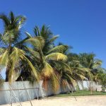 apoio-rv-posto-rosario-3