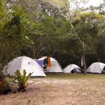 camping (2)