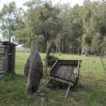 camping Crioula-Arambaré-Rio-Grande-Do-Sul-RS-14