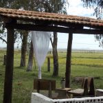 camping Crioula-Arambaré-Rio-Grande-Do-Sul-RS-16
