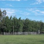 camping Crioula-Arambaré-Rio-Grande-Do-Sul-RS-18