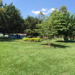 camping-anhembi-sao-paulo-macamp-6