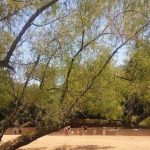 camping-chacara-das-pedras-6