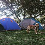 camping-curio-do-bico-doce-arraial-do-cabo-rj-macamp-3