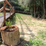 camping-das-cachoeiras-josé-boiteux-sc-macamp-3