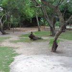 camping-hippiesara-itaunas-es-macamp-2