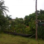 camping-hippiesara-itaunas-es-macamp-4