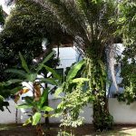 camping-provence-souza-itacare-ba-macamp-6