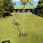 camping-recanto-dos-ypes-ms-bonito-macamp-4