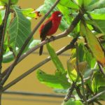 camping-salinas-barra-do-sul-sc-macamp-17