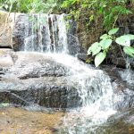 mping-tio-chico-espirito-santo-do-pinhal-sao-paulo-macamp-11