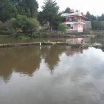 camping-rodivaris-truta-4