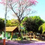 Balneário Portal das Águas Aparecida do Taboado4