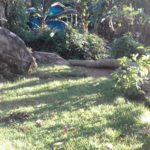 Camping Caiçara 15 – ilha grande aventureiro-5