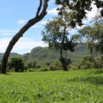 Camping Chalé Toca da Raposa 6