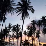 Camping Flor do Cerrado – Ilha de Boipeba-3