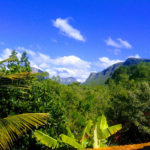 Camping Mangalo-19