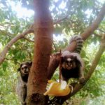 Camping Mangalô- chapada diamantina-BA