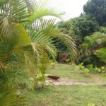 Camping Mangalo-9