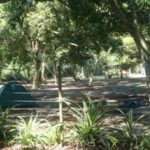 Camping Sao José – Prainha branca – guaruja-sp-2